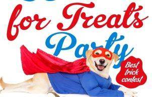 Petrecere de Halloween pentru căţei la Planeta HamHam