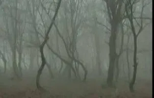 Un loc din Romania, in topul celor mai infricosatoare destinatii din lume