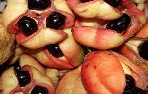 10 fructe exotice ciudate