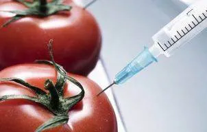 6 cai de a te tine departe de alimentele modificate genetic