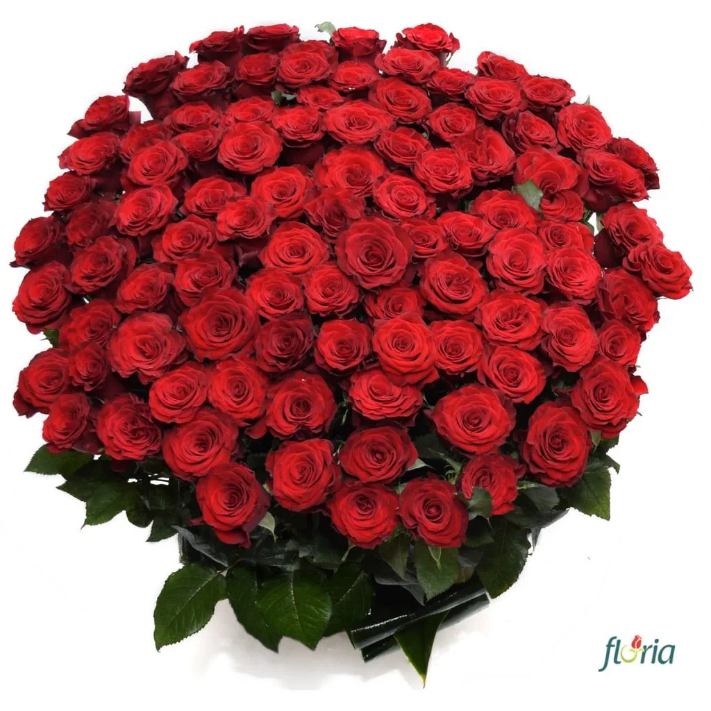 flori-cucereste-o-101 trandafiri