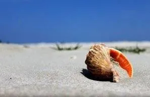 Petrece vacanța de Rusalii la mare, în Deltă sau în stațiuni balneare