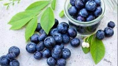 7 lucruri pe care nu le stiai despre afine