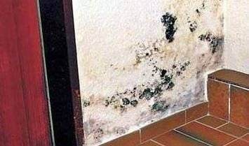 Foloseste acest spray si scapa definitiv de mucegai