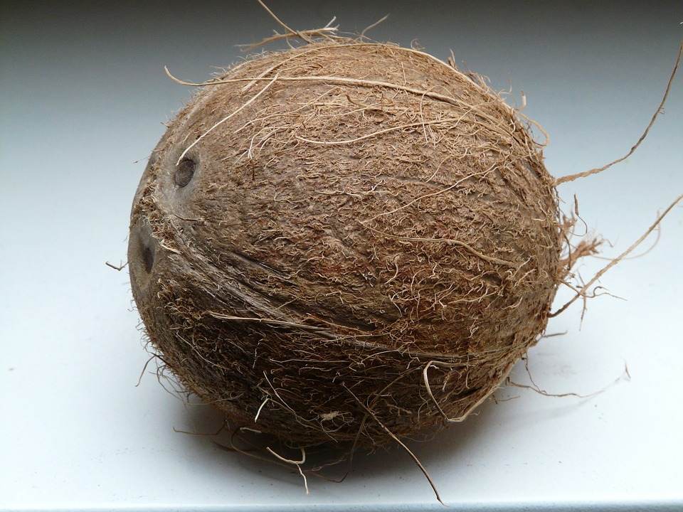 Beneficiile pentru sanatate ale nucilor de cocos