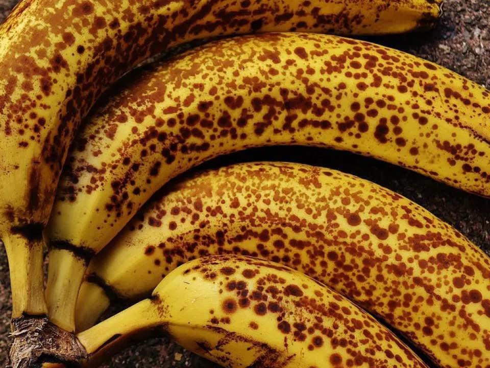 De ce nu trebuie sa arunci bananele cu pete negre
