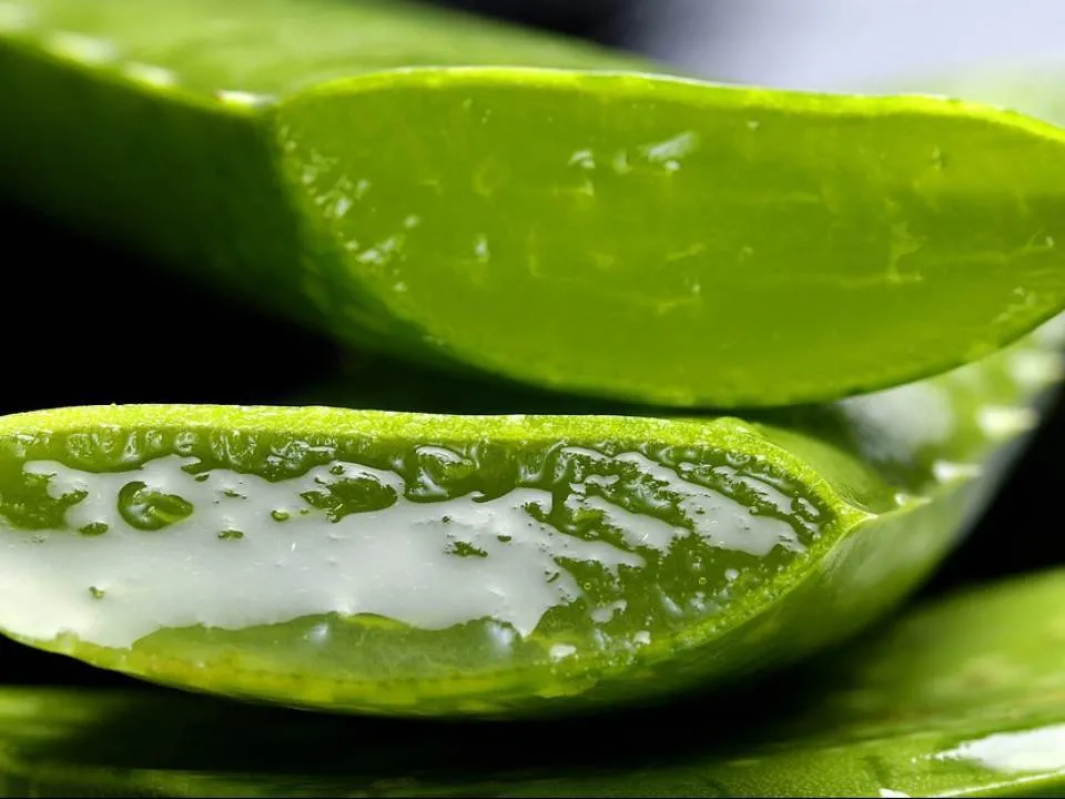 Masca de fata cu Aloe Vera pentru un ten frumos
