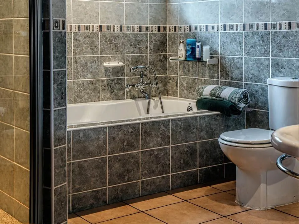 Lucruri pe care sa nu le arunci niciodata in toaleta! Consecintele pot fi grave