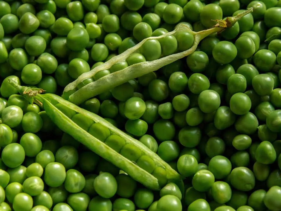 Delicios si rapid! Cum sa gatesti piure de mazare cu sos pesto! E mai simplu decat crezi