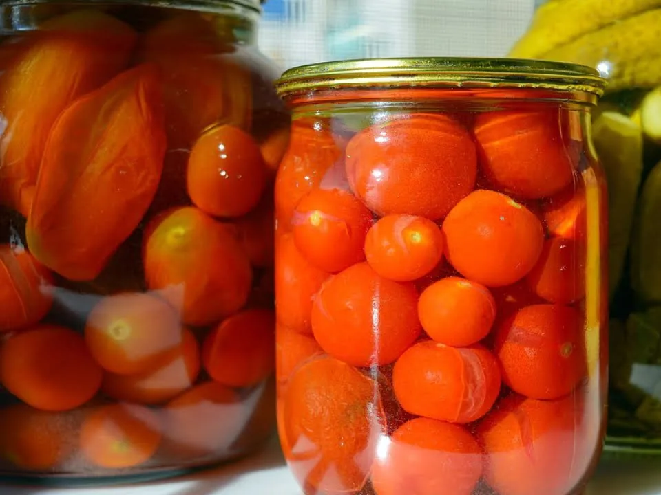 Gogonele in saramura, o reteta delicioasa, perfecta pentru iarna! Secretul pe care trebuie sa-l stie orice gospodina