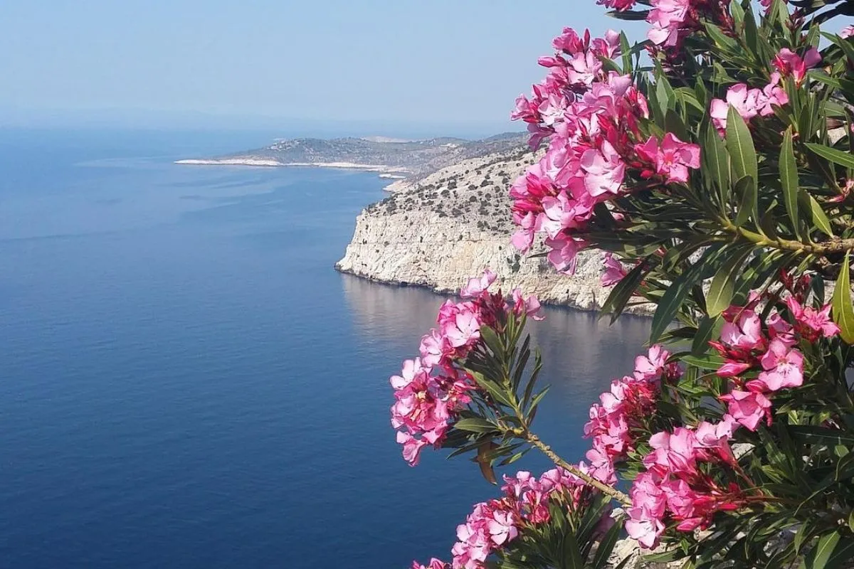 Cea mai ieftina insula din Grecia. Destinatia de vacanta ideala, unde te poti distra cu bani putini