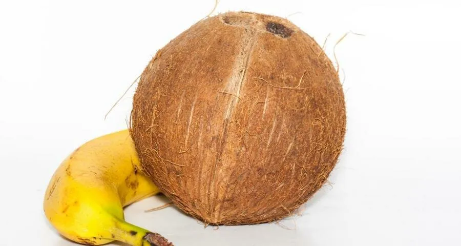 Shake de banane si nuci de cocos raw