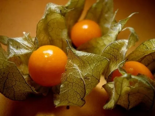 10 fructe neobișnuite cu beneficii remarcabile
