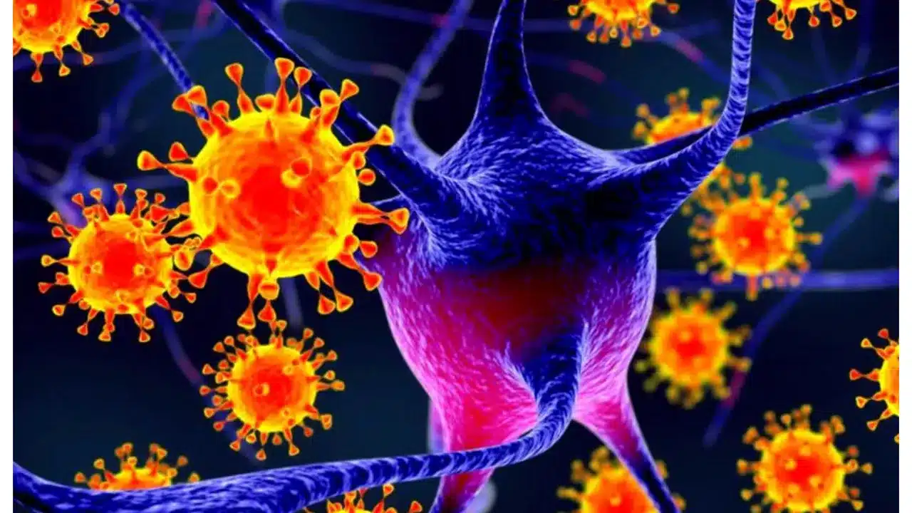 Știrea despre rapiditatea răspândirii bacteriei rezistente la antibiotice în Europa: Informații esențiale de cunoscut