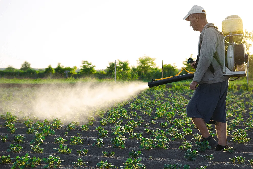 Selectarea acaricidului ideal: Elemente cheie pentru asigurarea unei protecții eficiente a plantelor – Financiarul