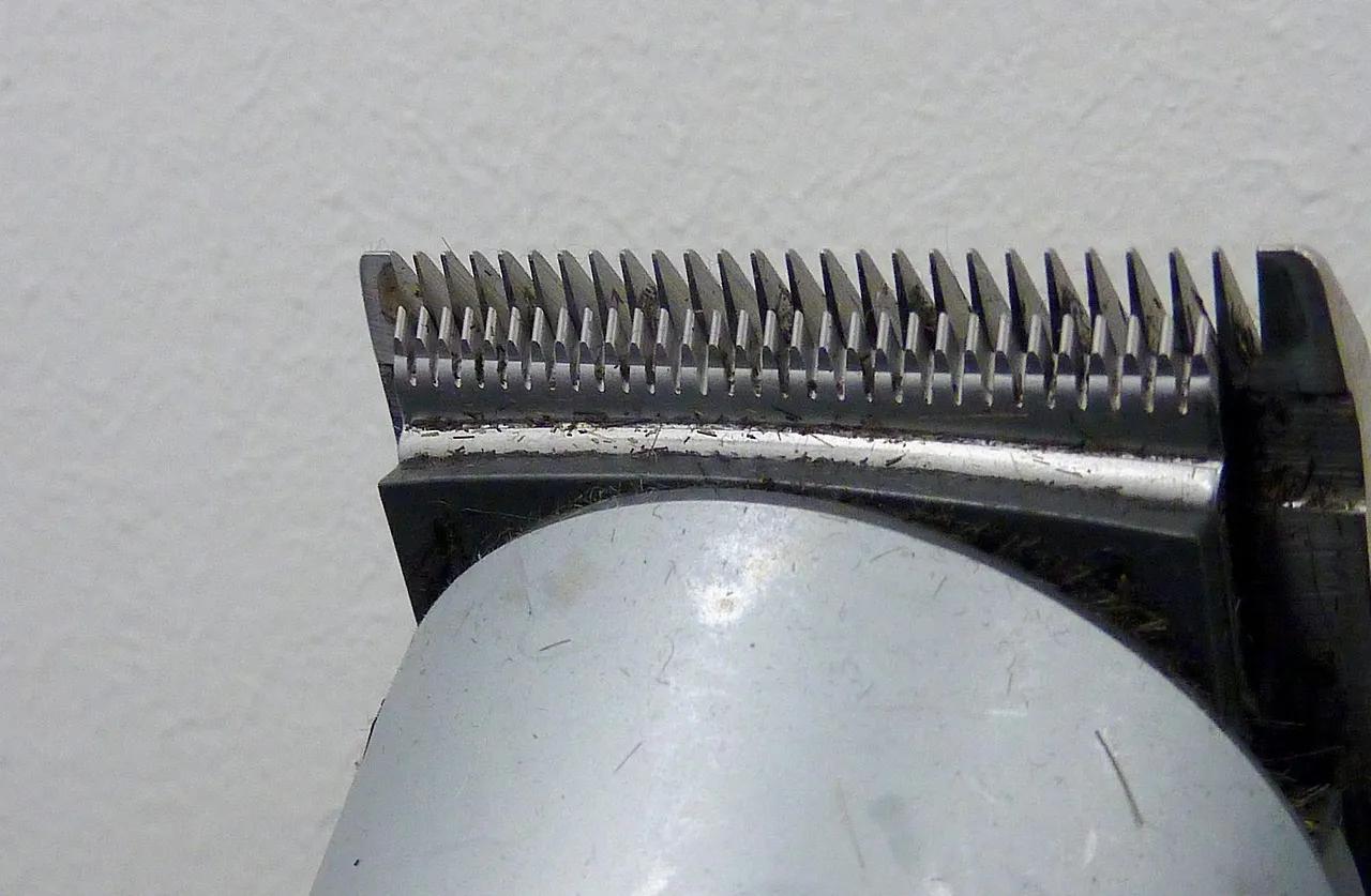 Top 10 modele de trimmer cu acumulator recomandate în 2026